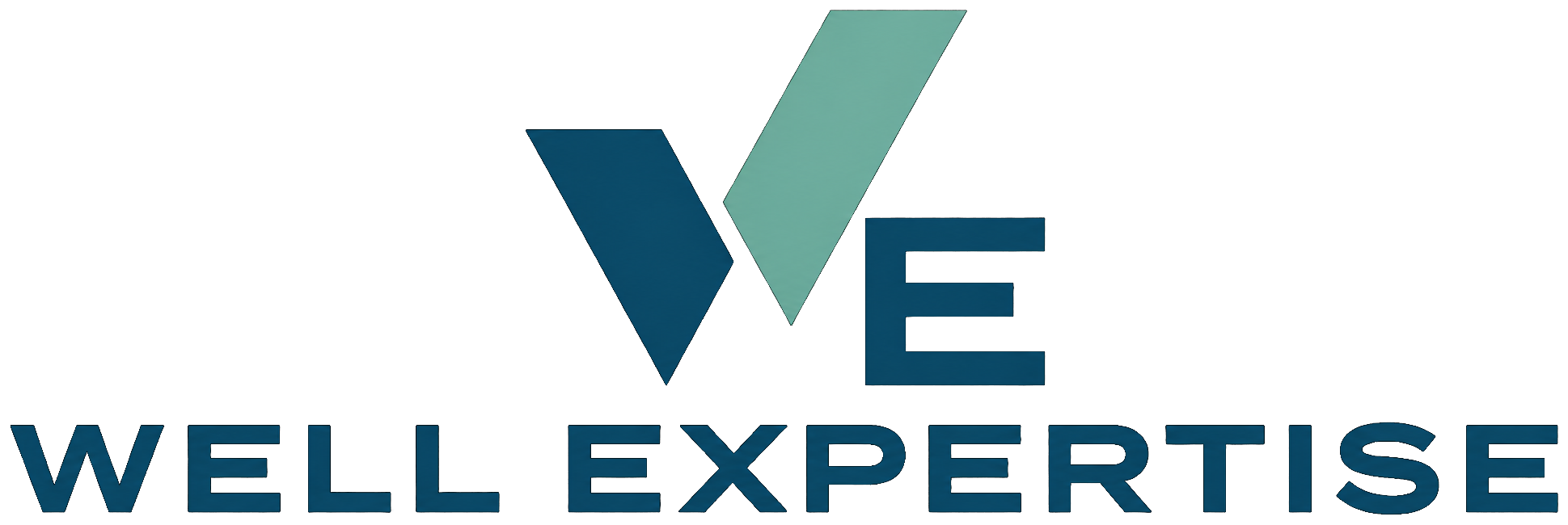 Well Expertise logo
